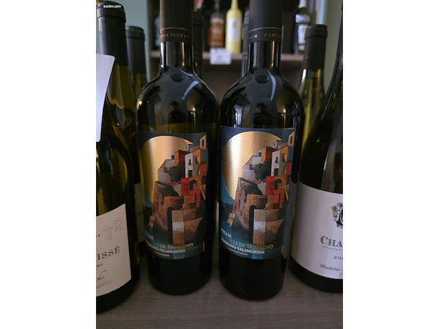 (80x) fles(sen) diverse wijnen en sterke dranken... - afbeelding 19 van  21
