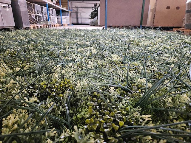 8.25m² greenwall - afbeelding 1 van  5