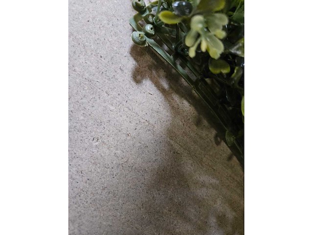 8.25m² greenwall - afbeelding 4 van  5