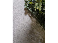 8.25m² greenwall - afbeelding 4 van  5