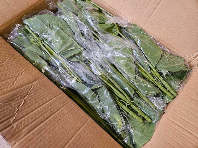 84x varia kunstplanten pothos en philo - afbeelding 3 van  6