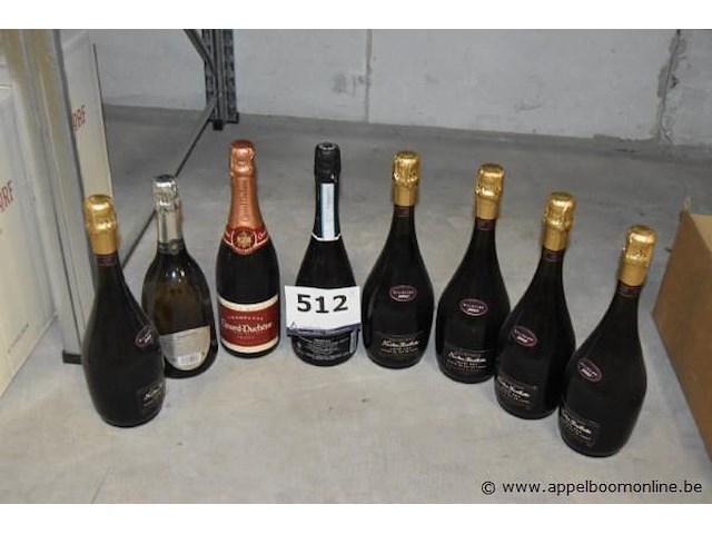 8x fles mousserende wijn, diverse merken waaronder nicolas feuillatte, canard-duchêne en cantina di soave, 75cl - afbeelding 1 van  3