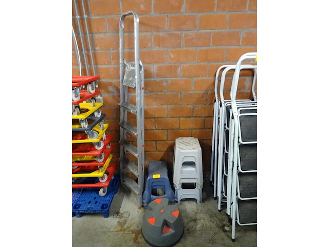 8x kunststof opstapje + trapladder - afbeelding 1 van  4