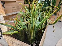8x yucca kunstplant - afbeelding 1 van  7