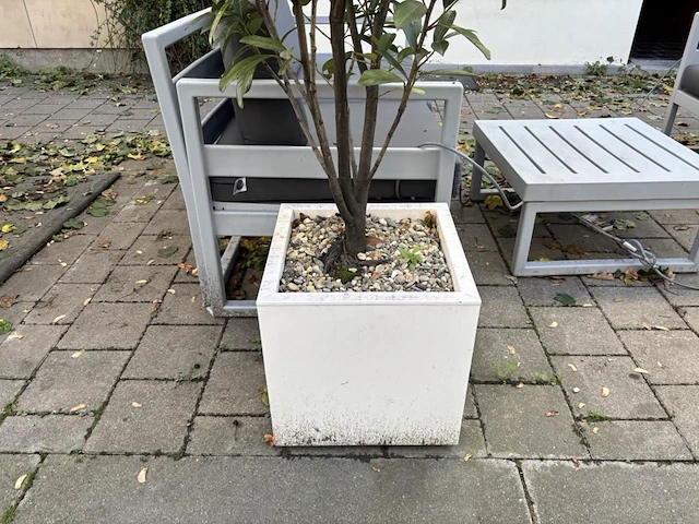9 div plantenbakken incl planten - afbeelding 3 van  8