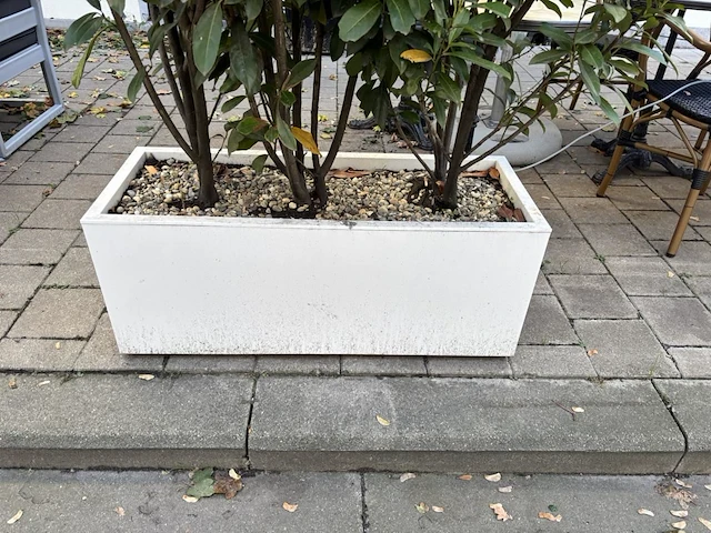 9 div plantenbakken incl planten - afbeelding 4 van  8