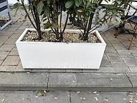 9 div plantenbakken incl planten - afbeelding 4 van  8