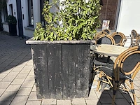 9 div plantenbakken incl planten - afbeelding 5 van  8