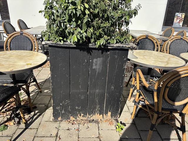 9 div plantenbakken incl planten - afbeelding 6 van  8