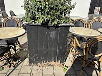 9 div plantenbakken incl planten - afbeelding 6 van  8