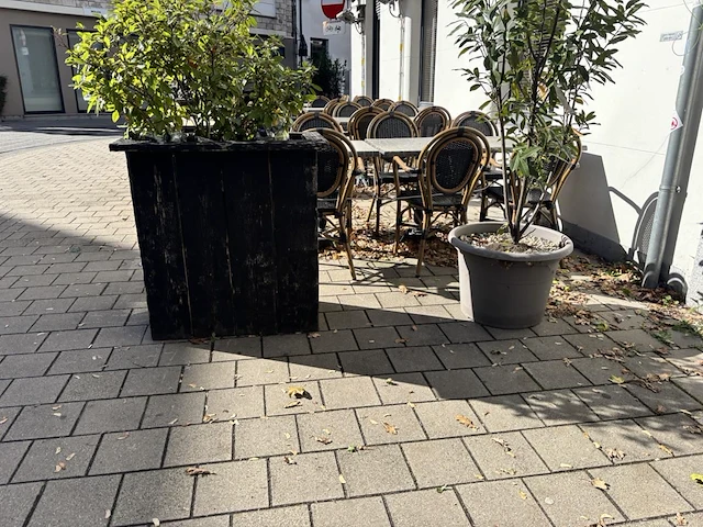 9 div plantenbakken incl planten - afbeelding 7 van  8