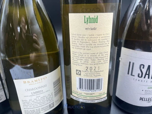 9 flessen diverse witte wijn - afbeelding 4 van  13