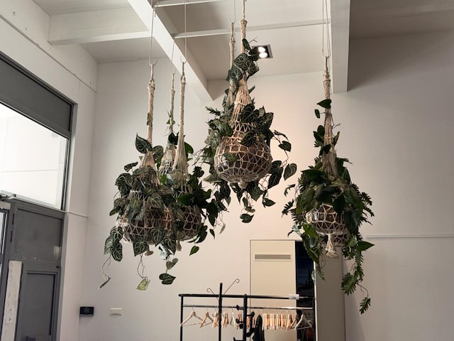 9 x hangdecoratie planten - afbeelding 1 van  4