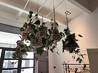 9 x hangdecoratie planten - afbeelding 2 van  4