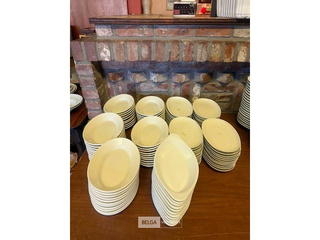 ± 90 partyschalen en ± 10 gratinborden - afbeelding 1 van  1