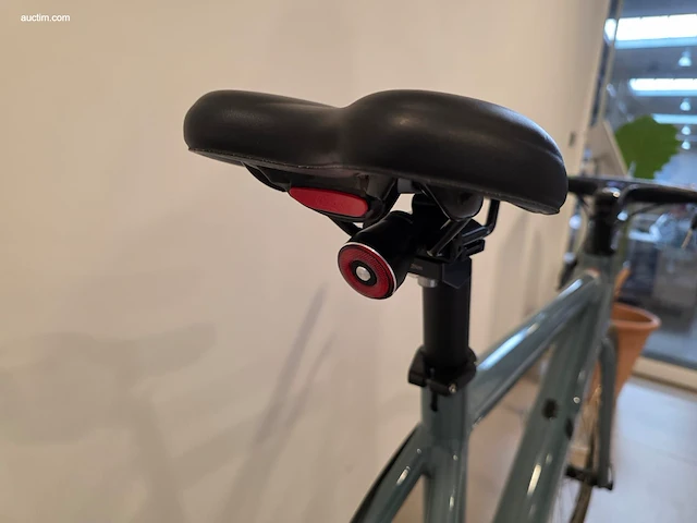 (90x) elektrische fietsen brook 46x f-w/oa en 44x... - afbeelding 8 van  25