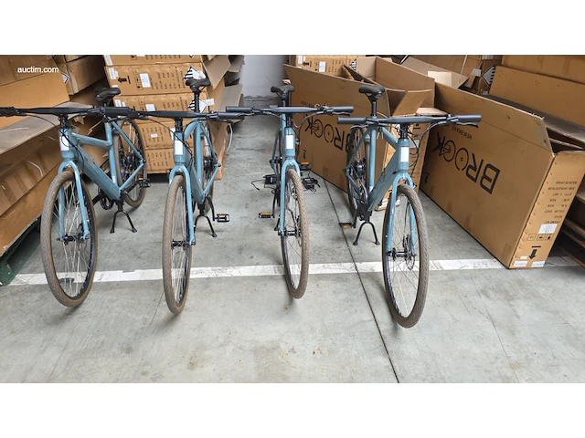 (90x) elektrische fietsen brook 46x f-w/oa en 44x... - afbeelding 12 van  25