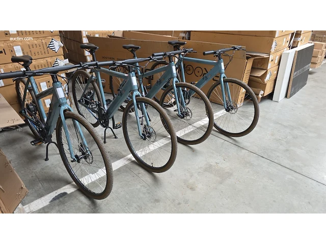 (90x) elektrische fietsen brook 46x f-w/oa en 44x... - afbeelding 19 van  25