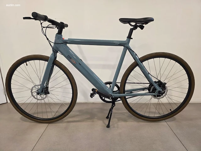 (90x) elektrische fietsen brook 46x f-w/oa en 44x... - afbeelding 21 van  25
