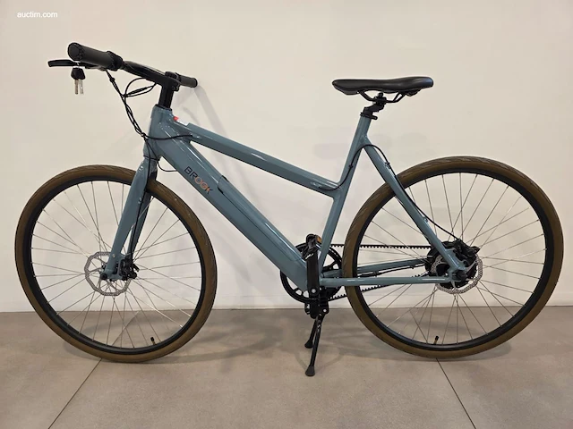 (90x) elektrische fietsen brook 46x f-w/oa en 44x... - afbeelding 22 van  25