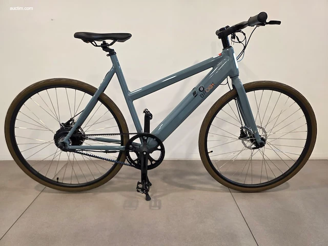 (90x) elektrische fietsen brook 46x f-w/oa en 44x... - afbeelding 23 van  25