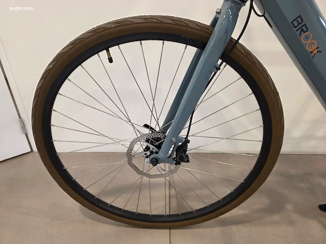 (90x) elektrische fietsen brook 46x f-w/oa en 44x... - afbeelding 24 van  25