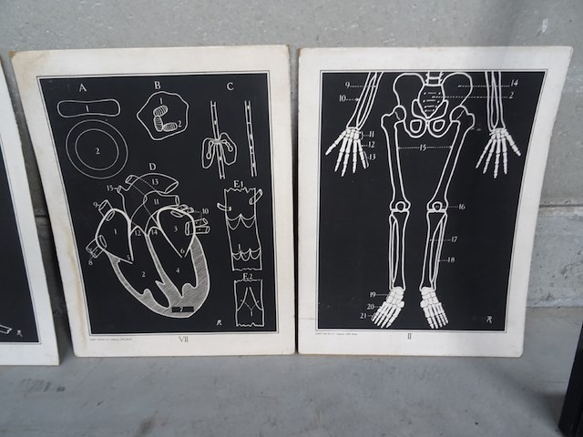 9x print jozef van in & co - afbeelding 2 van  5