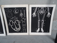 9x print jozef van in & co - afbeelding 2 van  5