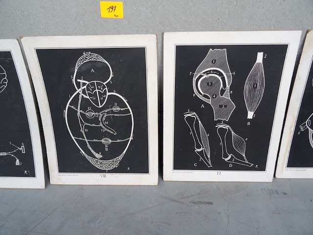 9x print jozef van in & co - afbeelding 3 van  5