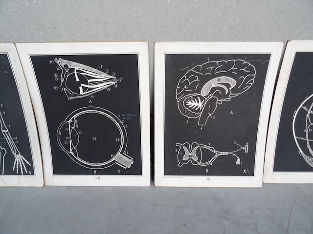 9x print jozef van in & co - afbeelding 4 van  5