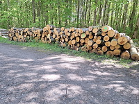 9x stère