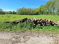 9x stère