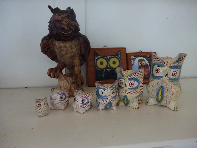 9x uil - afbeelding 1 van  2