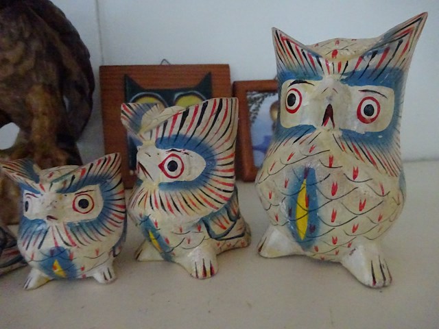 9x uil - afbeelding 2 van  2