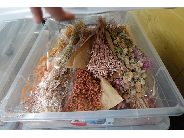 9x verrijdbare opbergbox - afbeelding 5 van  7