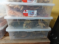 9x verrijdbare opbergbox - afbeelding 6 van  7