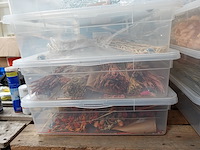 9x verrijdbare opbergbox - afbeelding 7 van  7