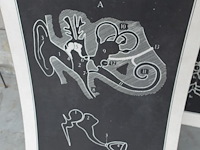 9x vintage anatomische wandkaart - afbeelding 2 van  10