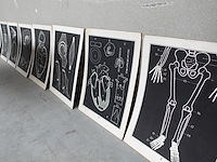 9x vintage anatomische wandkaart - afbeelding 1 van  10