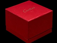 A cartier 'lanieres' ring in 18ct yellow gold and diamond, weight: 4,9 g - afbeelding 15 van  16