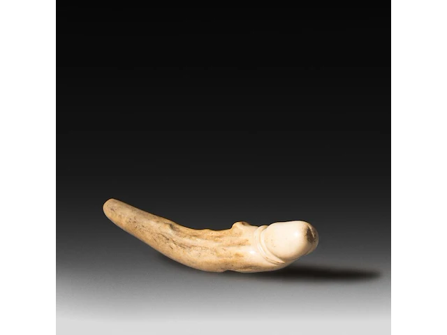 A carved horn phallic netsuke, japan, l 8 cm - afbeelding 1 van  4
