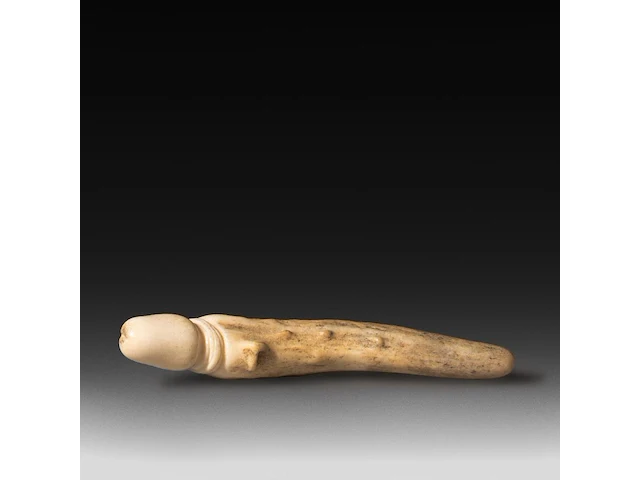 A carved horn phallic netsuke, japan, l 8 cm - afbeelding 4 van  4