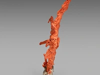 A chinese coral carving, depicting birds on prunus branches, late qing, fixed on a metal foot, total weight about 1950g - total h 36,5 x l 34 cm - afbeelding 3 van  9