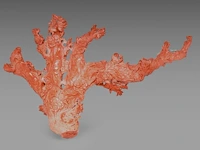 A chinese coral carving group of female immortals, late qing, l 45 cm - weight about 1863g - afbeelding 5 van  6
