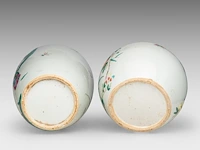 A chinese famille rose 'fu lu shou xing' and a 'grasshopper in a flower garden' ginger jar, late qing, total h 21,3 - 31,2 cm - afbeelding 7 van  7