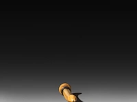 A chinese ivory dildo ending on a sphere with a silver collar, 19thc, total l 12,5 cm - w 3 cm - 80g (+) - afbeelding 4 van  6