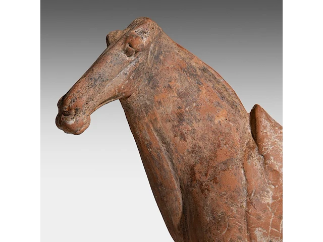 A chinese pottery figure of a horse, tang dynasty, h 31,5 - l 28,5 cm (+) - afbeelding 2 van  10