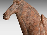 A chinese pottery figure of a horse, tang dynasty, h 31,5 - l 28,5 cm (+) - afbeelding 2 van  10