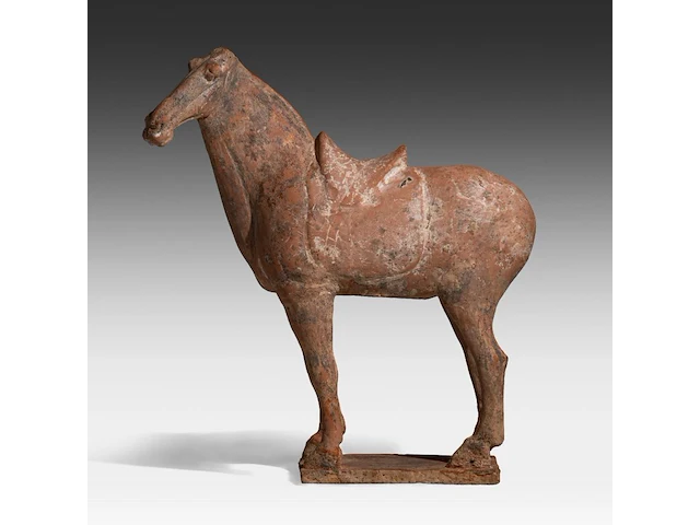 A chinese pottery figure of a horse, tang dynasty, h 31,5 - l 28,5 cm (+) - afbeelding 1 van  10