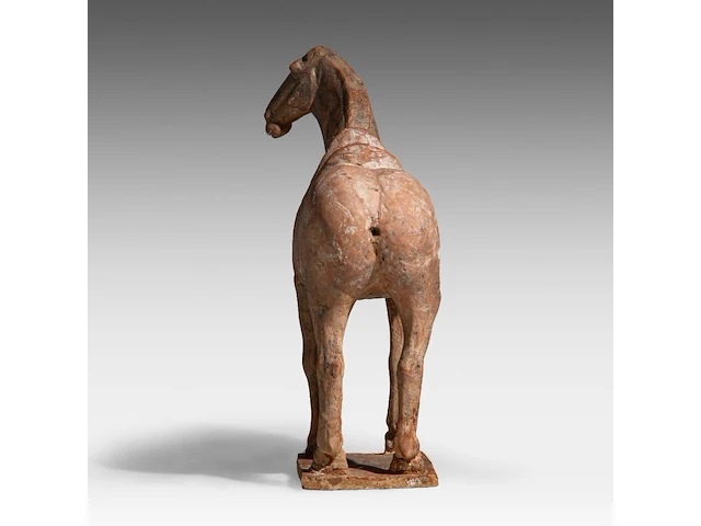 A chinese pottery figure of a horse, tang dynasty, h 31,5 - l 28,5 cm (+) - afbeelding 4 van  10